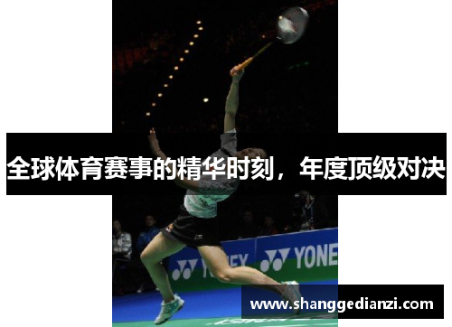 全球体育赛事的精华时刻，年度顶级对决