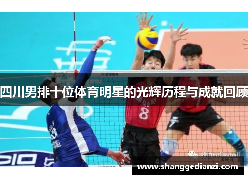 四川男排十位体育明星的光辉历程与成就回顾