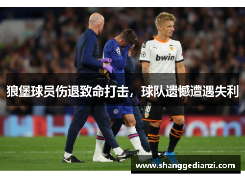 狼堡球员伤退致命打击，球队遗憾遭遇失利