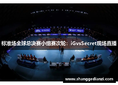 标准场全球总决赛小组赛次轮：iGvsSecret现场直播