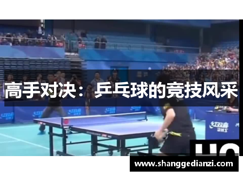 高手对决：乒乓球的竞技风采