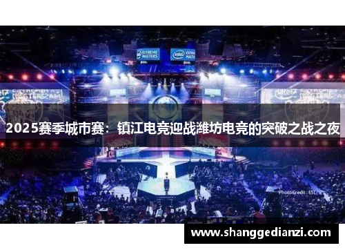 2025赛季城市赛：镇江电竞迎战潍坊电竞的突破之战之夜